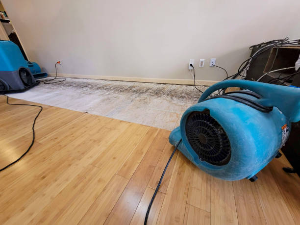Professional Water Extraction technician working in University Park, IL
